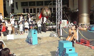 f0147602_22254611.jpg