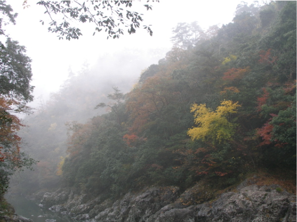c0036203_18442719.jpg