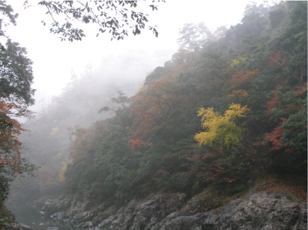 長門峡は雨だった（泣_c0036203_18442719.jpg