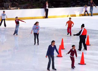 ウォールマン・リンク Wollman Skating Rink_b0007805_8341459.jpg