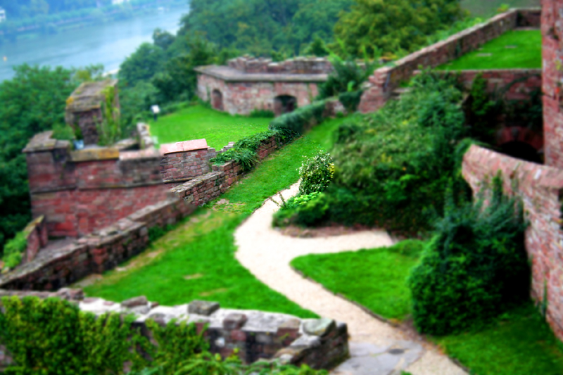 c0146510_1657541.jpg