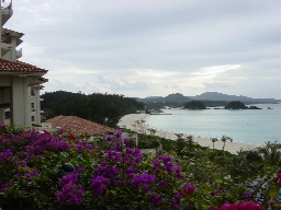 c0112313_23451062.jpg