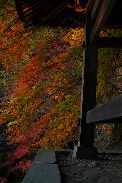 阿弥陀寺_e0055715_23192425.jpg