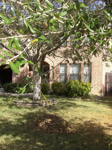 f0105318_78303.jpg