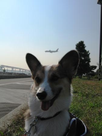 yummy とデート～城南島海浜公園①～_f0155118_22313277.jpg