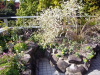c0133422_0351978.jpg