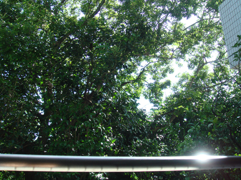b0118624_002488.jpg