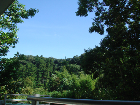 b0118624_053294.jpg