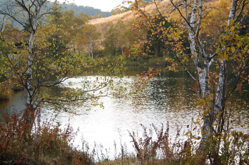 f0017530_19342068.jpg