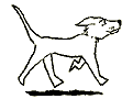 f0131535_19215046.gif