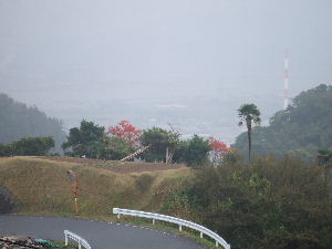 a0054240_1818521.jpg