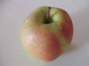 a0054240_2141147.jpg