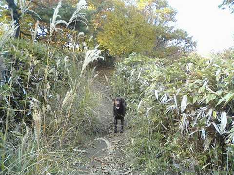 f0090444_1332779.jpg