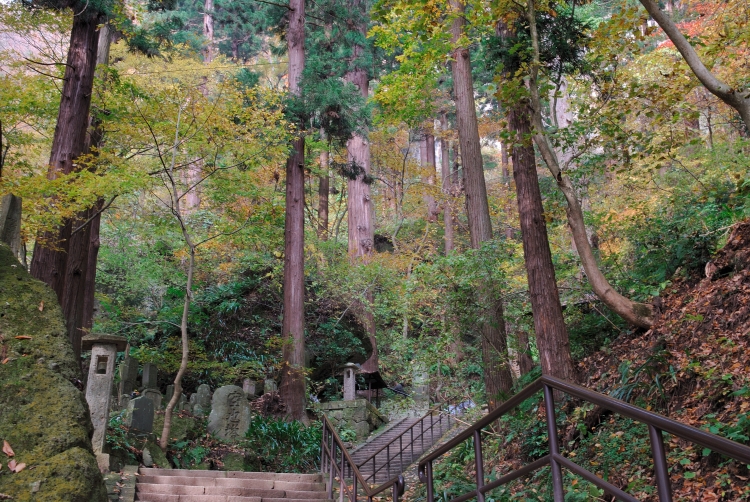 紅葉？＠立石寺（山寺）②_b0087345_2181781.jpg