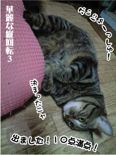 キャッと　でんぐり返し♪_c0012445_11251550.jpg