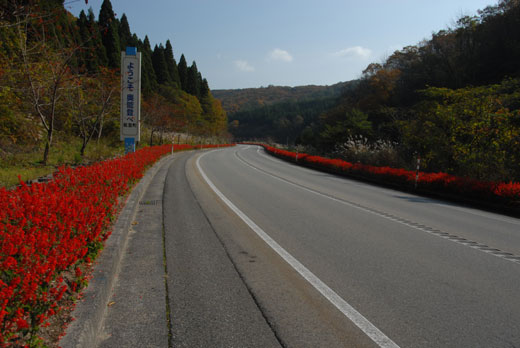 能登路にて(Ⅰ)_c0093046_652660.jpg