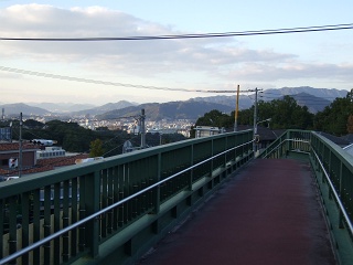 b0095061_97551.jpg