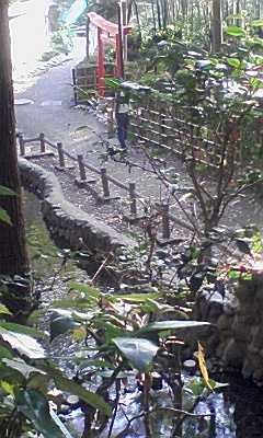 武蔵国分寺公園_c0144173_23141431.jpg