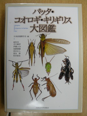 バッタの図鑑 バッタ コオロギ キリギリス大図鑑 蝶 チョウ ゆっくり歩き 千蟲譜物語