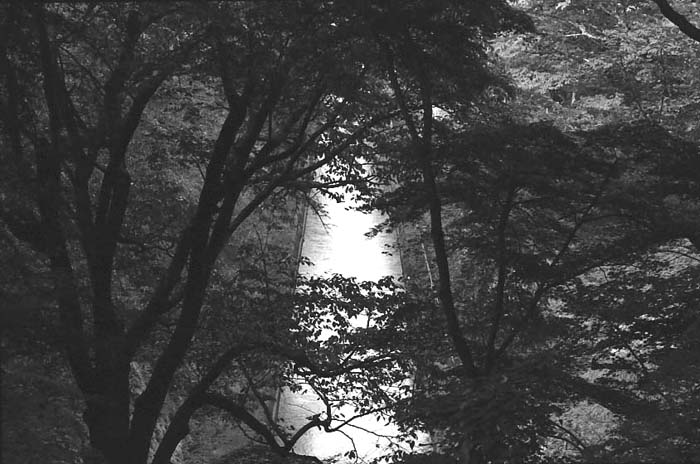 c0131875_2325593.jpg