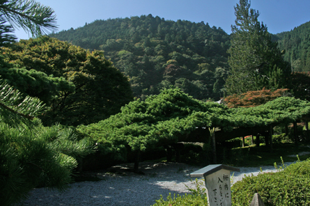 西国観音巡礼 <第20番 西山 善峰寺>_a0045381_7235544.jpg