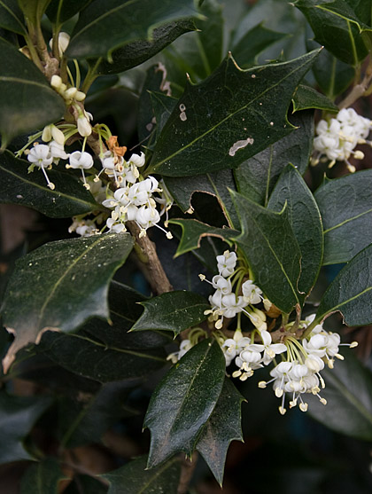 c0002682_2264487.jpg