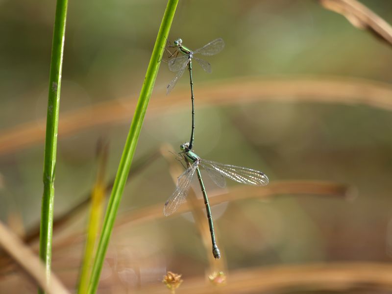 b0108186_2128869.jpg