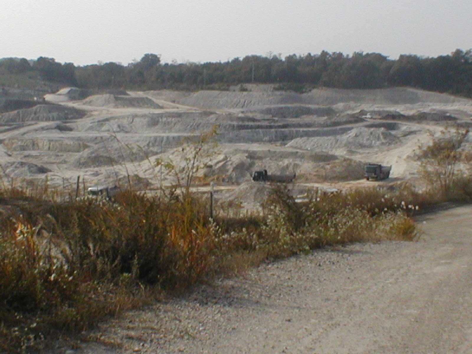 e0116694_2215992.jpg