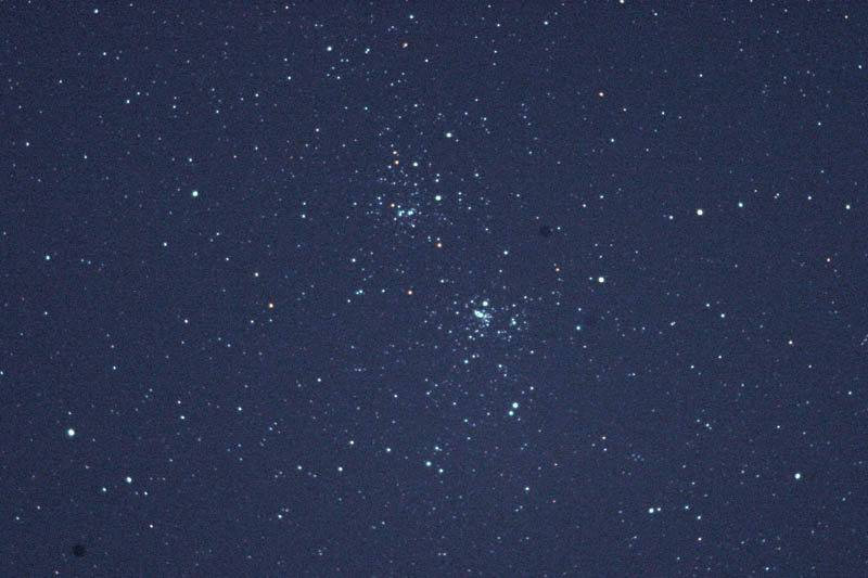 ハクセキレイ/ホームズ彗星_b0024798_6375071.jpg