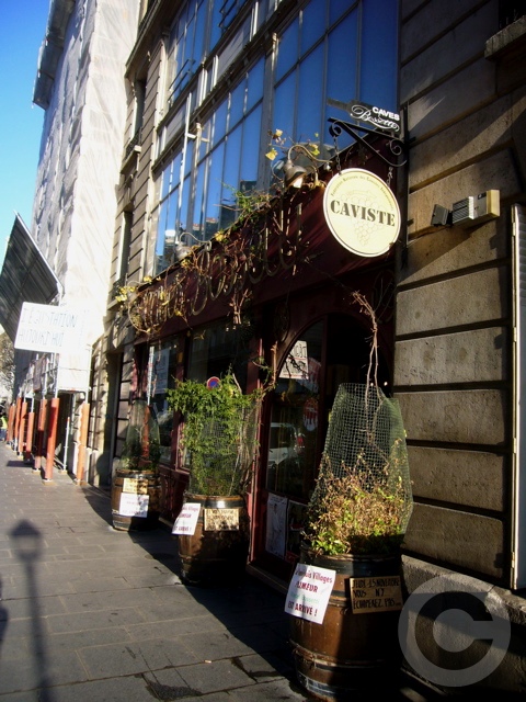 ■Beaujolais Nouveauボジョレ・ヌヴォー事情_a0014299_22185594.jpg