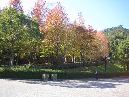 c0146301_1830317.jpg