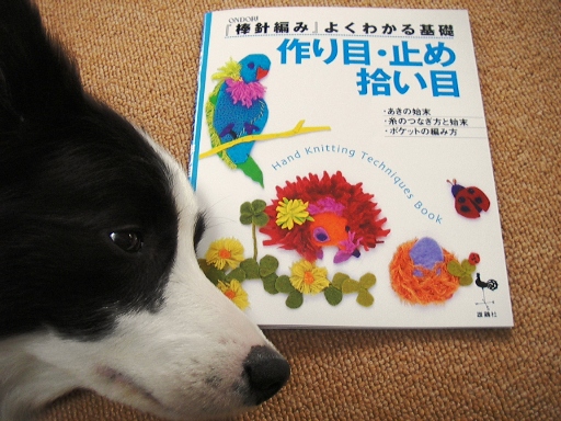 f0034602_1817461.jpg