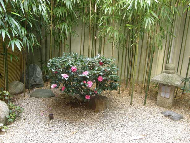 f0036603_23151655.jpg