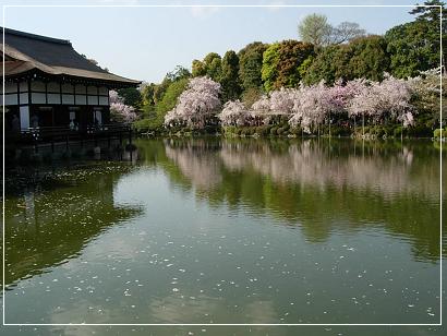 京都便り　平安神宮_a0030205_04993.jpg