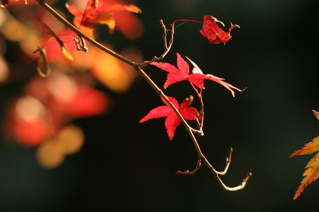 f0024708_291229.jpg