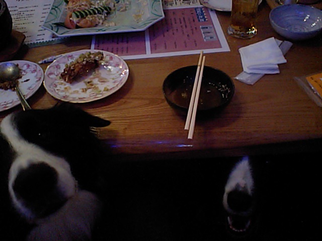f0102308_0391968.jpg