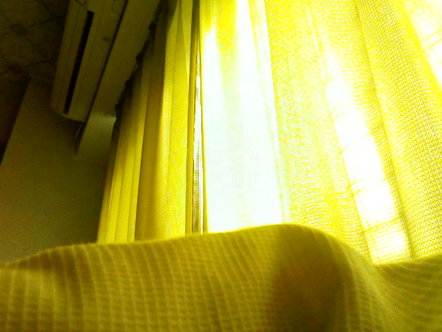 b0021311_2352730.jpg