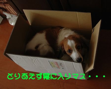 c0065512_23541115.jpg