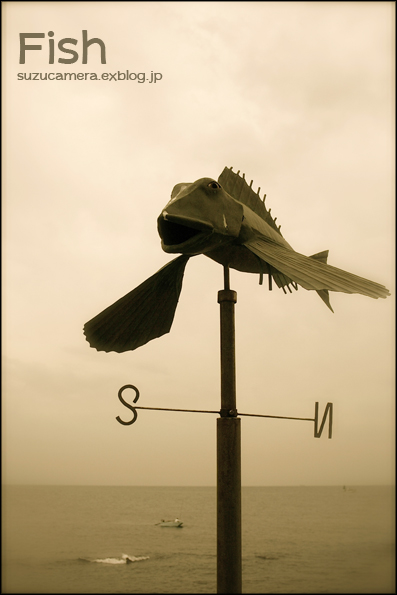 風見魚_f0100215_22145127.jpg