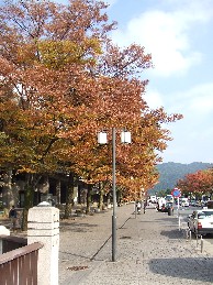 d0111217_8585213.jpg