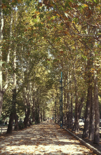 c0057224_14293844.jpg