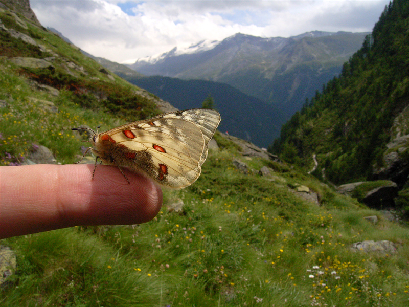 d0054625_20283428.jpg