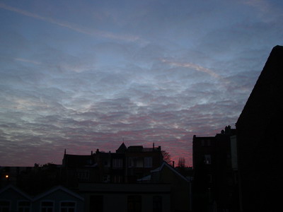 f0130228_12056.jpg