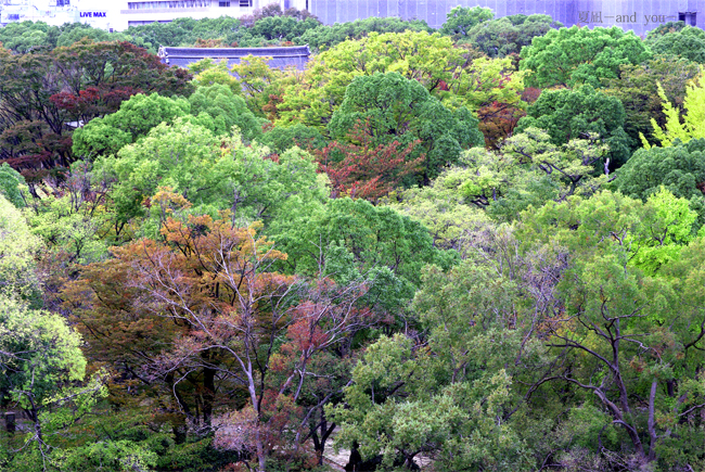 c0121738_1282647.jpg