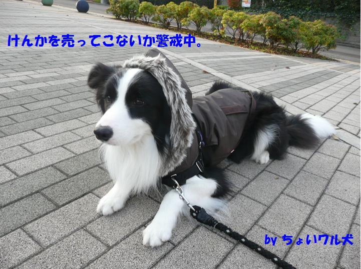 c0147241_22263687.jpg