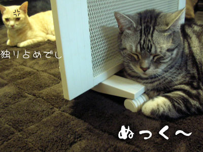 c0096342_1553399.jpg