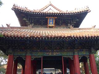 d0114242_14502331.jpg