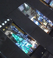 c0029148_0571339.jpg