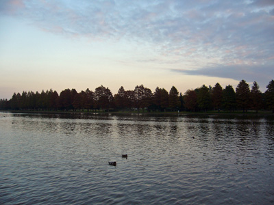 b0045357_1736338.jpg