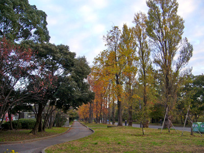b0045357_1738383.jpg